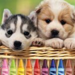 4GameGround – Puppy Coloring